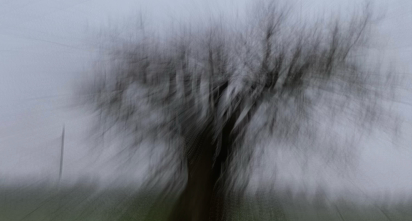 img20251106141425339183.png