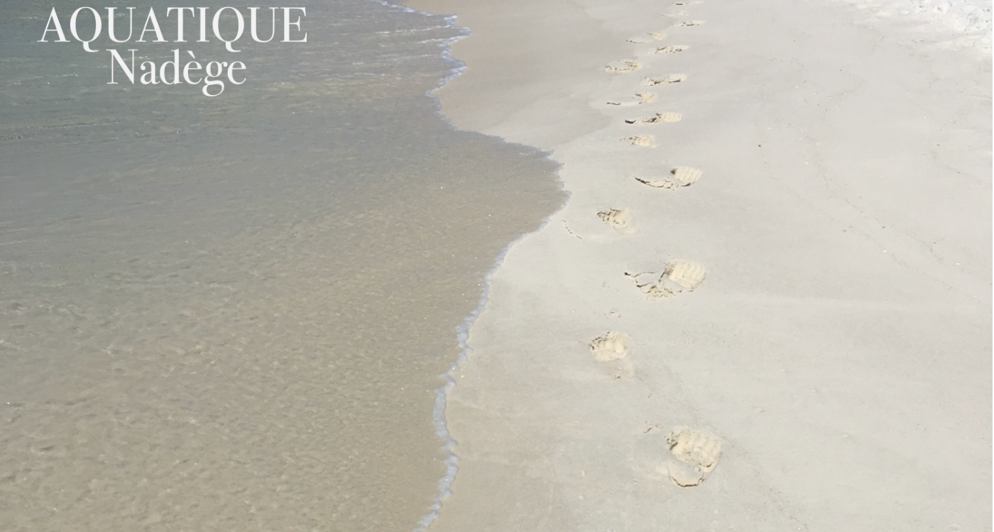 aquatique_2026.png